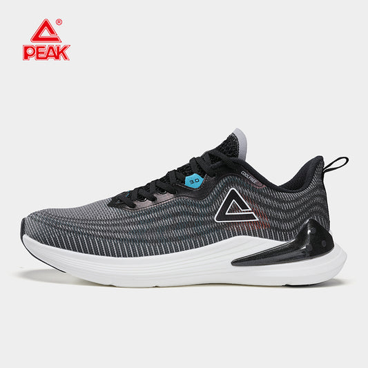 Peak Men's Shoes Professional Running Shoes Outdoor Lightweight Sport Shoes Men Breathable Mesh Sneakers E222047H